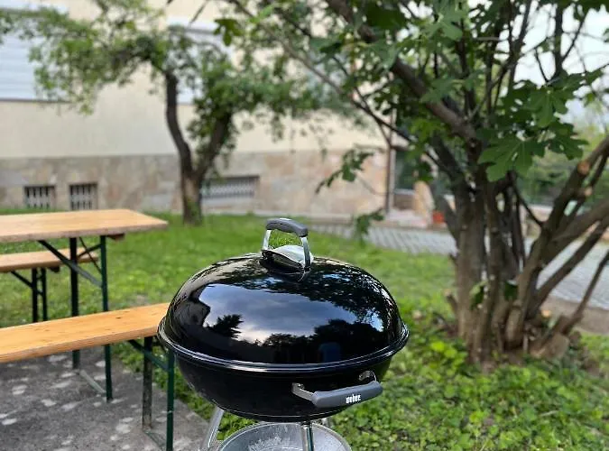Chill 巴拉顿菲赖德